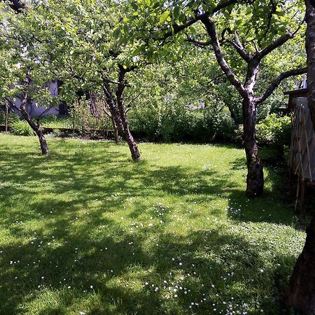 Apartma Rutar Tolmin Buitenkant foto