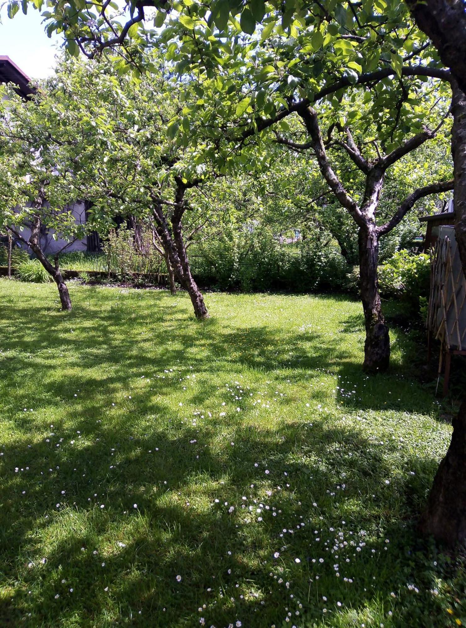 Apartma Rutar Tolmin Buitenkant foto